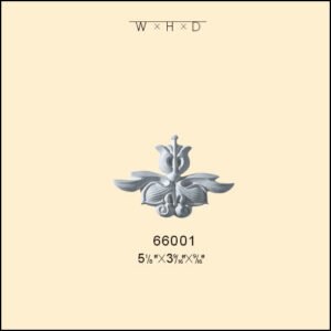 66001