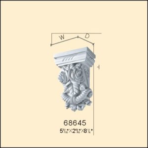 68645