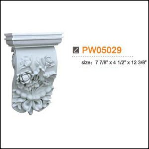 PW05029