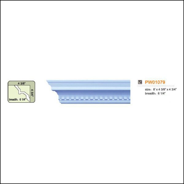 PW01079